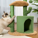 Cactus Cat Scratcher | Cat Scratcher Australia | Aussie Valley