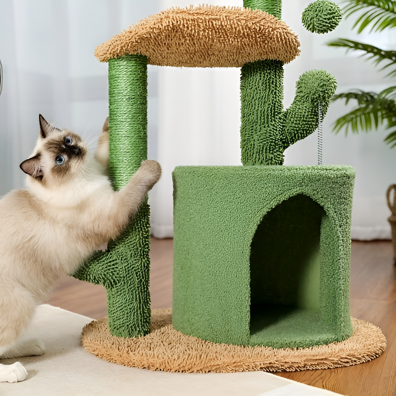 Cactus Cat Scratcher | Cat Scratcher Australia | Aussie Valley