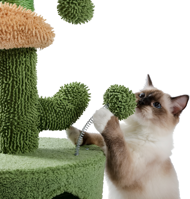 Cactus Cat Scratcher | Cat Scratcher Australia | Aussie Valley