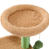 Cactus Cat Scratcher | Cat Scratcher Australia | Aussie Valley