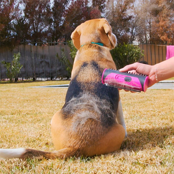 Dog Deshedding Brush | Deshed Brush for Dogs | Aussie Valley